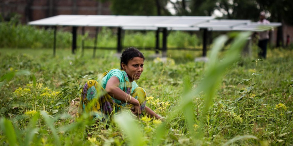 Dharnai: The Solar Powered Village That’s Hope For Us All