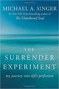 The Surrender Experiment
