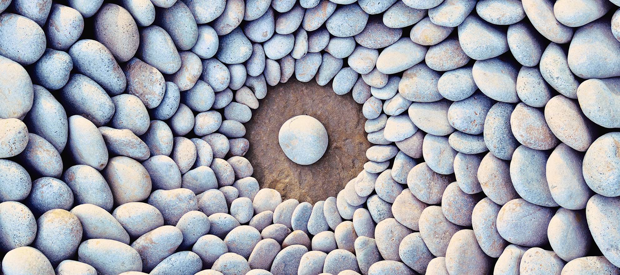 What happens when you apply law of attraction to DANGER Report?