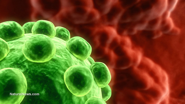 Vitamin E kills off cancer cells and prevents their reproduction, study finds