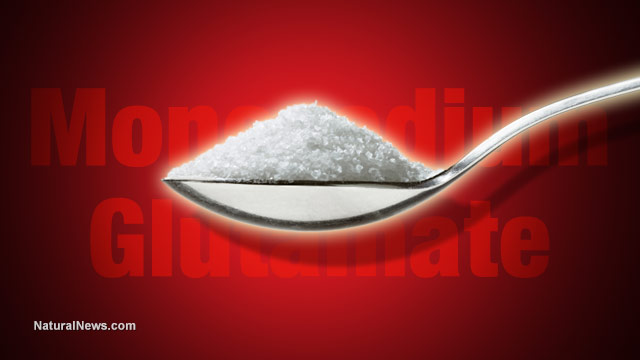 The Top Reasons To Avoid MSG