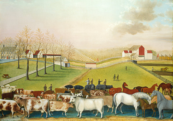 How to live green in retirement