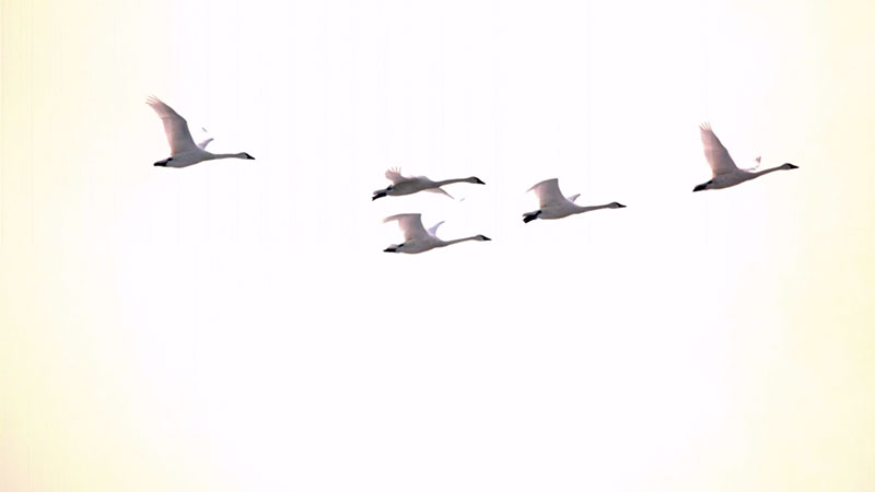 A Guided Meditation for Your Next Free Moment