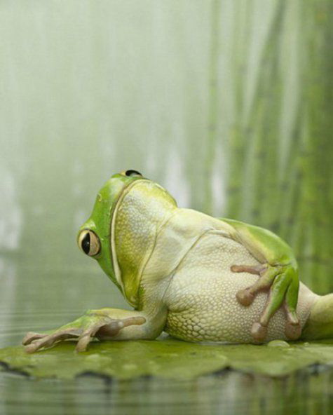 A Yogi’s Healthy Ayurvedic Diet Guide