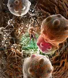 In The Government-Funded Big Science World, We Don’t Value Cross-Disciplinary Research