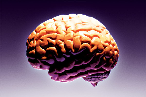 Brain Health May Be Key to Avoiding the Most Dreaded Disease